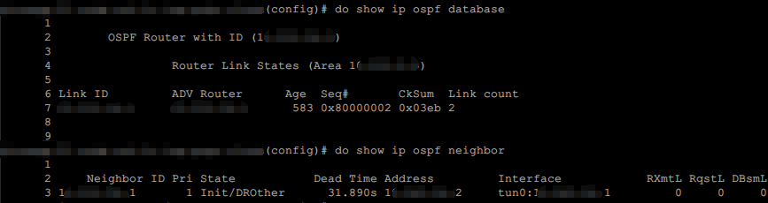 2017-11-27-Quagga-Tunnel-OSPF-With-RouterOS-Problem-01