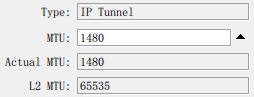 2017-11-27-Quagga-Tunnel-OSPF-With-RouterOS-Problem-03